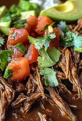 Mexican Shredded Beef Recipe